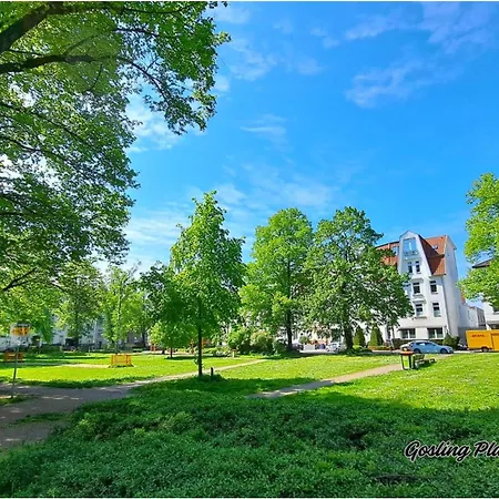 Marooms Privat Art 3*